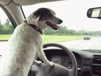 driving