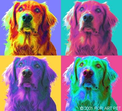 pop art dog portrait