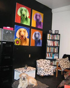 Downtown Dog Lounge