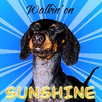 Pop art pet portrait dog art