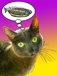 Pop art cat portrait Lucy P
