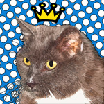Pop art cat portrait Blue R