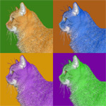 Pop art cat portrait Opie the orange tabby