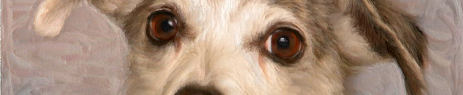 Pop Art Pet - Pet Portraits