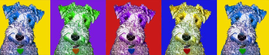 Pop Art Pet - Pet Portraits