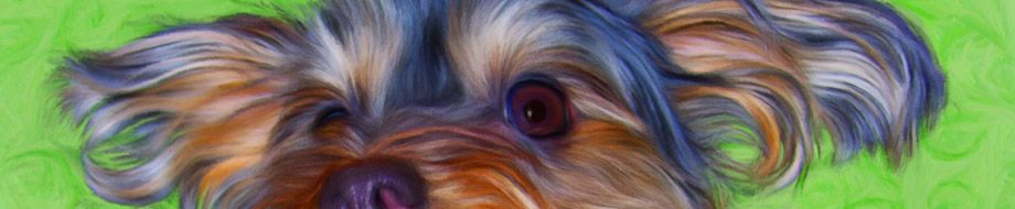 Pop Art Pet - Pet Portraits