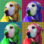 Pop art dog portrait Dakota