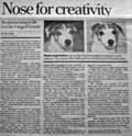 Rocky Mountain News