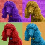 Pop art pet portrait Jaz