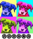 Gracie Warhol inspired pet portrait and gift items