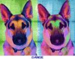 Warhol inspired pet portrait Sarge