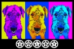 Warhol inspired pet portrait colby