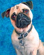 Painterly style dog art portrait