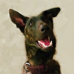 Welsh Corgi traditional art portrait