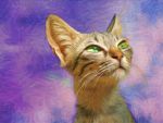 Pop art pet portrait cat art