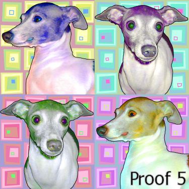 Italian Greyhounds art warhol style 