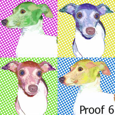 Italian Greyhound portraits pop art 