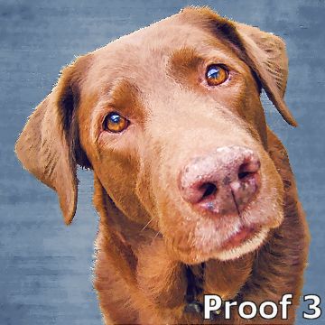Chocolate Lab portraits and gifts