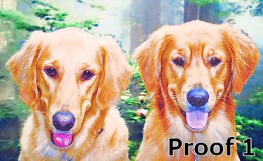 Golden Retriever Custom Portrait