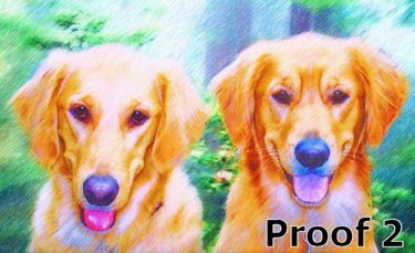 Dog art Golden Retriever portraits