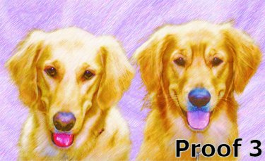 Golden Retriever portraits and gifts