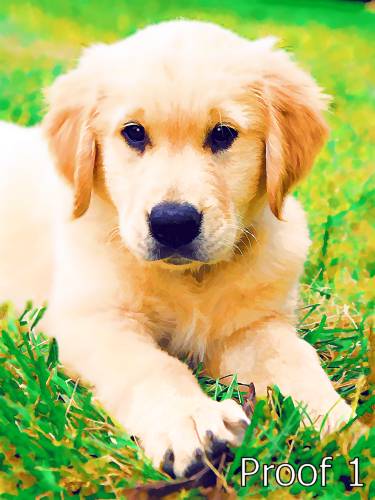Golden Retriever Art