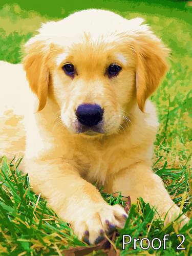Golden Portrait