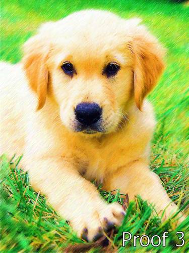 Golden Retriever Breed Specific Art 