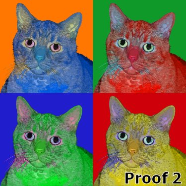 pop art pet portrait cat
