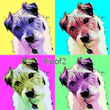 Jack Russell Terrier Pop Art Portraits and Gift Items