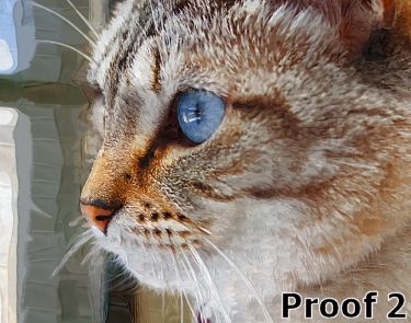 Cat Art