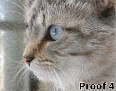 Custom Cat art