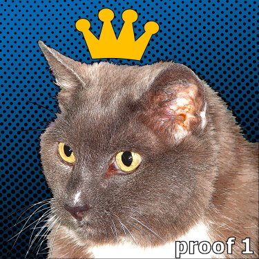 Lichtenstein from your Cats photos custom cat art