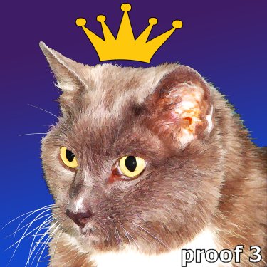 Lichtenstein custom Cat art portrait