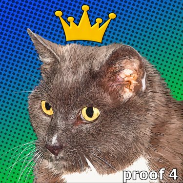 Comic style pop art portrait Lichtenstein Cat