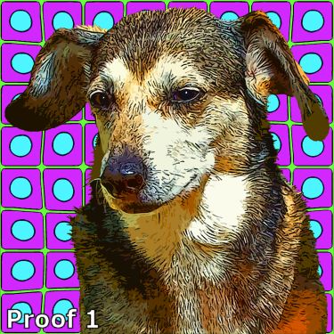 dog pop art