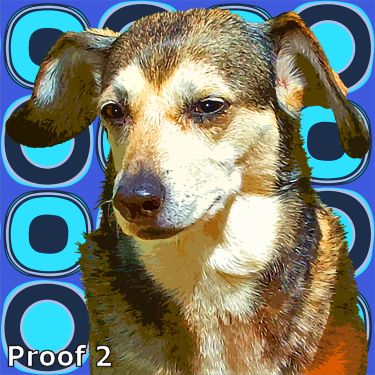 pop art dog