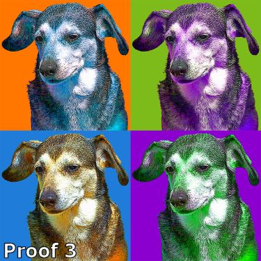warhol inspired dog art