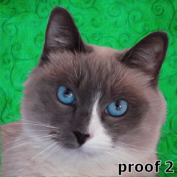 Cat Art