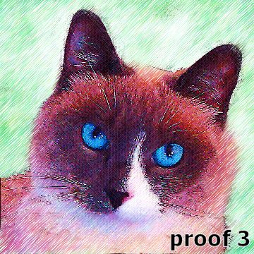 Custom Saimese Cat Portraits