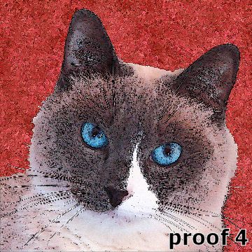 Custom Saimese Cat art