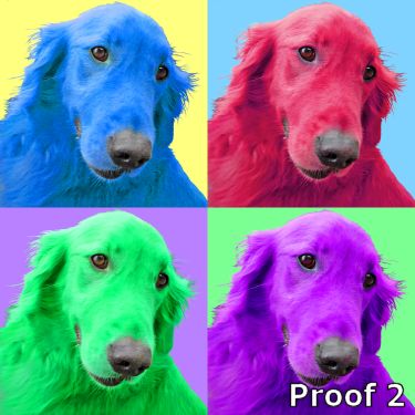 Dog art Golden Retriever pop art