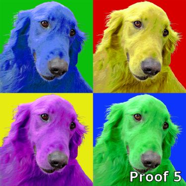 Golden Retriever portraits and gifts