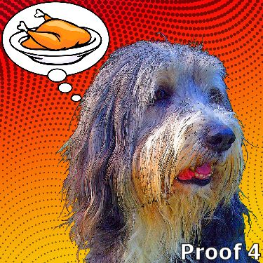 Bearded Collie gifts and pop portraits