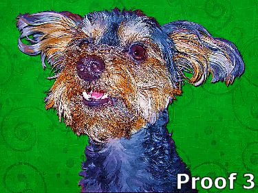 Yorkie Poo art portrait