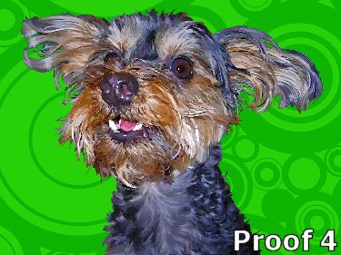 Custom Yorkie poo art Portraits