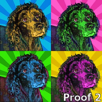 Fun custom Bouvier des Flandres  art