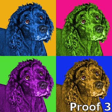 Custom Bouvier des Flandres  art