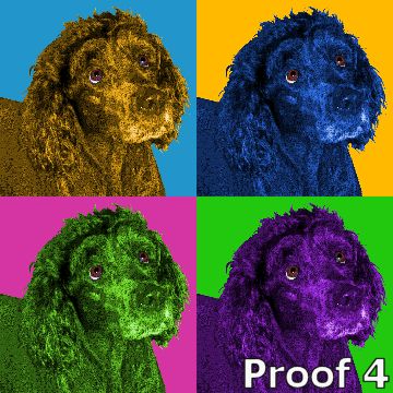 Bouvier des Flandres  art