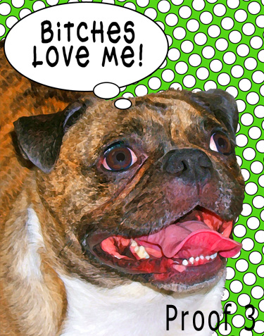 Custom pug portraits from your photographs